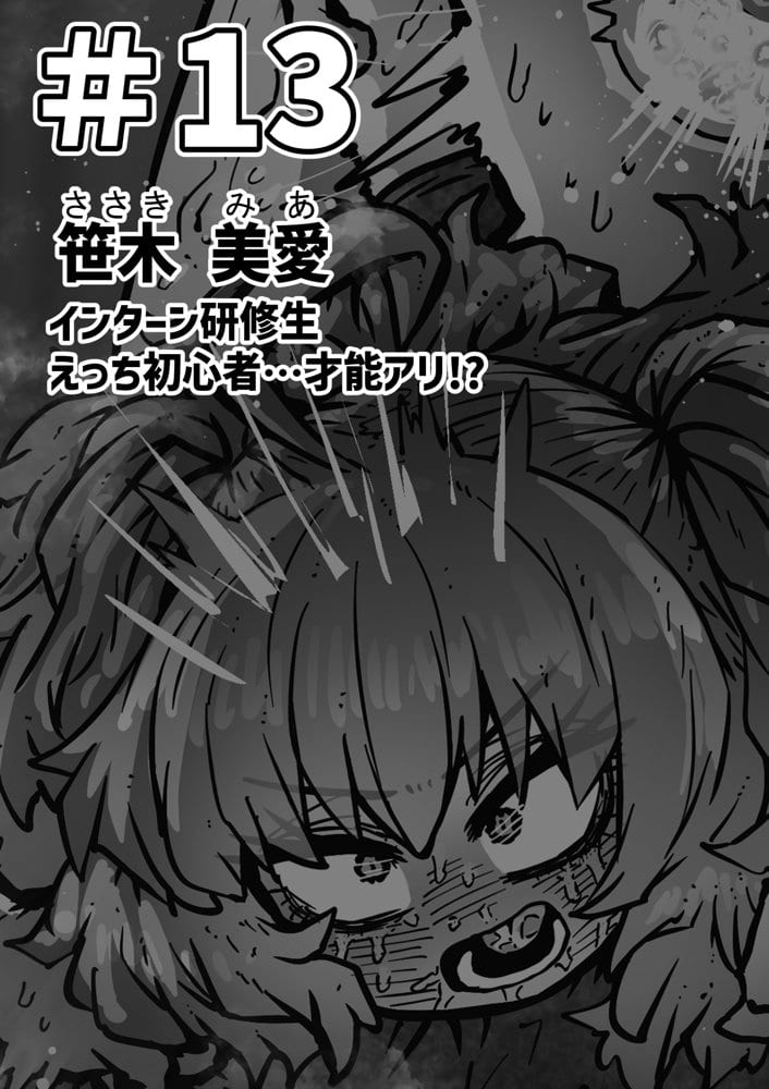 完全同意型性風俗SS株式会社【インターンシップ編】