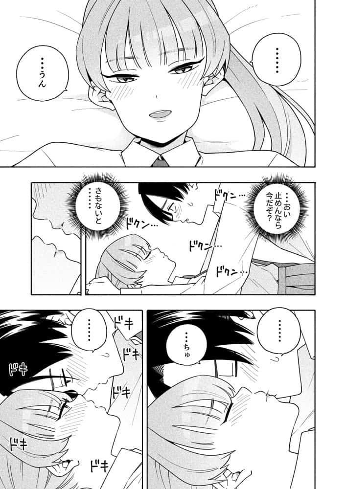 カムフラージュ