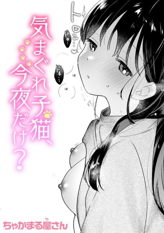 気まぐれ子猫、今夜だけ？