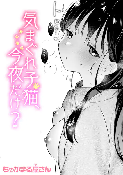 気まぐれ子猫、今夜だけ？